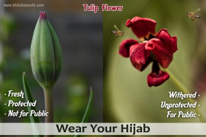 Picture Perfect : Tulip Flower & Hijab