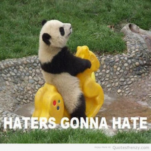 ... quotes fluffy animals funny panda sayings endangered giant panda funny