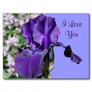 Search Results for: I Love You Purple