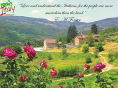 Beautiful Quotes/Scenery from our Tours
