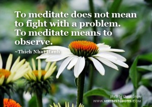 ... Nhat Hanh Quotes, To meditate does not mean to fight with a problem