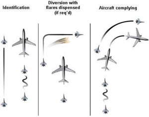 view original image )