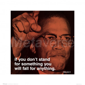 Malcolm X - iPhilosophy - Stand for Something art print