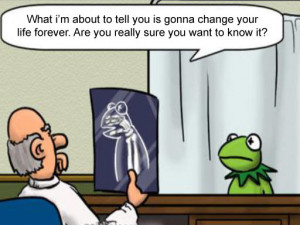 funny-Kermit-the-Frog-X-Rays