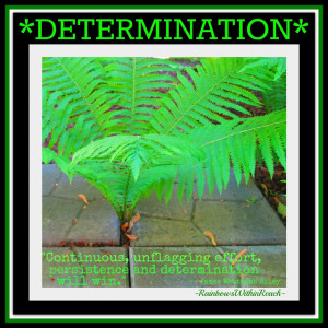 ... Self Determination: The Driving Force Behind Every Achievement In Life