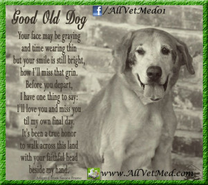 old #dog #quote #poem