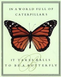 The process of self change can be, at times an arduous process. We ...