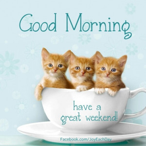 good morning quotes Facebook. Com / Joy Each DayCute Good Night Quotes ...