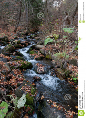fall-river-autumn-stream-roaring-fork-great-smoky-mountains-national ...