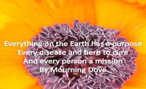 Mourning Dove Quotes