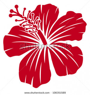 Red Hibiscus Flower Head