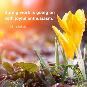 Spring Quotes Muir