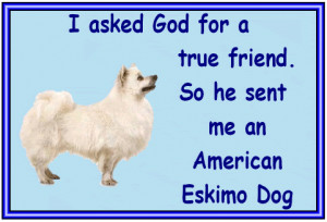 American Eskimo Signs & Quotes