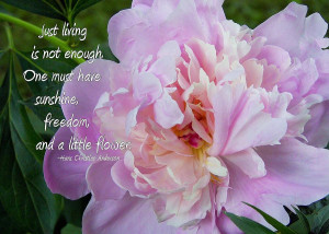 Melissas Flower Quote Photograph