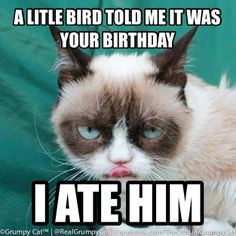 ... days, I figured I should show you guys a Grumpy Cat: Birthday edition