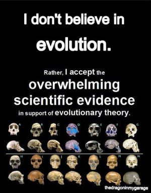 Overwhelming scientific evidence of evolutionary theory