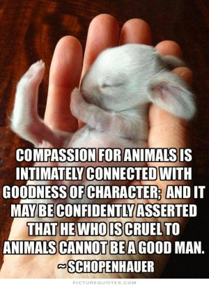 ... Quotes Animal Cruelty Quotes Animal Love Quotes Arthur Schopenhauer