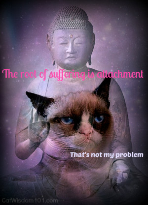 Grumpy Cat Buddha Quote...