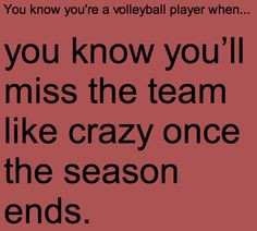 Volleyball Quotes!