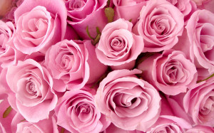 http://www.graphics99.com/special-pink-roses-picture-for-fb-share/
