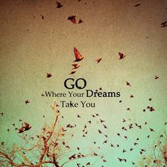 Dreams . bird photograph . dreamy surreal photography . brown aqua ...