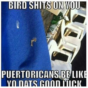 Hispanics and boricuas be like ..