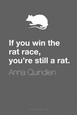 the rat race, you’re still a rat.” ― Anna Quindlen #rat #quote ...