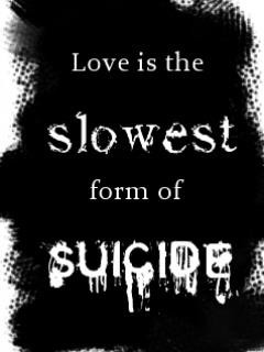 Random Pics And Images