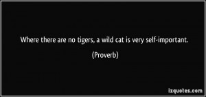 ... there are no tigers, a wild cat is very self-important. - Proverbs