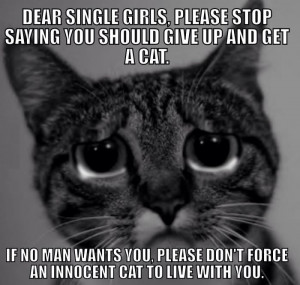 funny-picture-cat-lonely-ladies