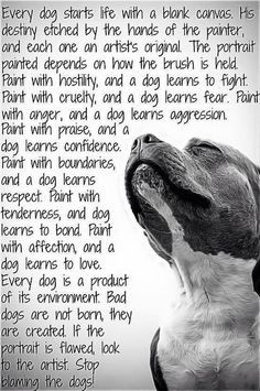... pit bulls nature to be aggressive!