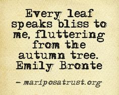 Emily Bronte, Every leaf speaks bliss to me, fluttering from the ...