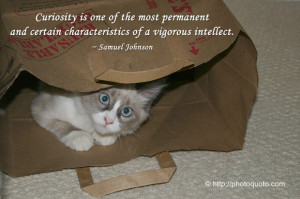Curiosity is one of the most permanent and certain characteristics of ...