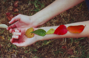 Welcome Autumn Equinox & Harvest Blessings~