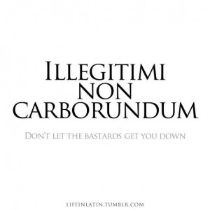... : Illegitimi Non Carborundum. Don't let the bastards get you down