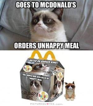 Goes to McDonald's, orders unhappy meal Picture Quote #1