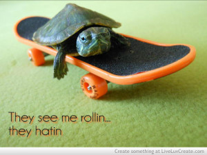 Cute Turtle Skateboard