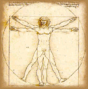 Human body by Leonardo da Vinci