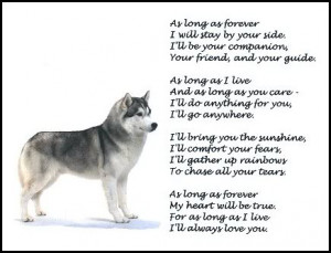 Funny Siberian Husky Quotes Siberian huskiess.