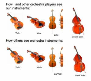Orchestra Instruments, violin