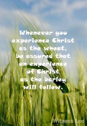 The All-Inclusive Christ - the Experience of the Barley (Witness Lee ...