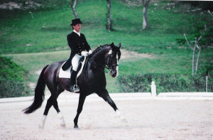 ... Eddo Hoekstra is fully devoted to dressage as a sport and as an art