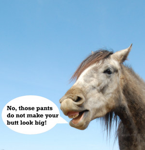 ... Quotes About Best Friends Being Crazy If dog is man's best friend