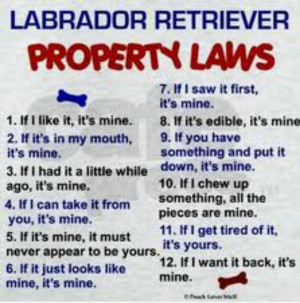 Pinned by Sherry Wyllis