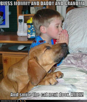 funny-dog-pictures-praying-dog-boy-bed.jpg