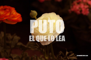 Related Pictures mexican quotes in english funny pics tumblr picture