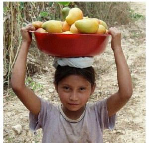girl in Jalisco, Mexico with mangos she picked to help out @ home ...