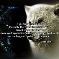 Lone Wolf Quot Aaron Belz...