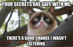 There's a good chance I wasn't listening - Grumpy Cat Fanart