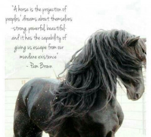 Beautiful horse and beautiful quote!!